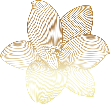 Lotus Vita Store